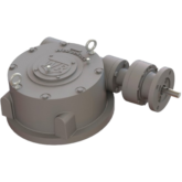 RW Worm Gear Actuator